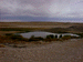 davenport13_s.GIF (4311 bytes)