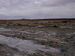 davenport1_s.GIF (4347 bytes)