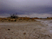 davenport3_s.GIF (4292 bytes)