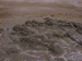 davenport4_s.GIF (4067 bytes)