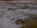 davenport5_s.GIF (4398 bytes)