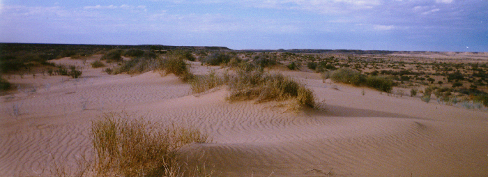desert1.jpg (247056 bytes)