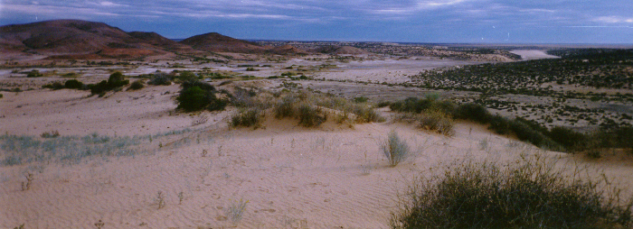 desert2.jpg (262867 bytes)