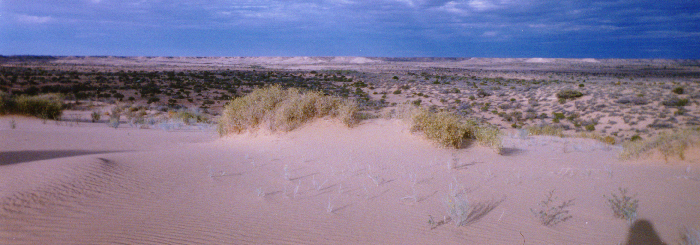 desert3.jpg (242067 bytes)