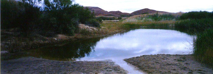 desert3.jpg (242067 bytes)