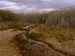 hermit_hill5_s.GIF (4911 bytes)