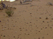 hermit_hill_3_s.GIF (3613 bytes)