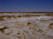sulphur10_s.GIF (4396 bytes)