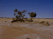 sulphur11_s.GIF (3934 bytes)