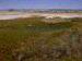 sulphur13_s.GIF (4672 bytes)