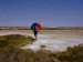 sulphur14_s.GIF (4055 bytes)