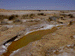 sulphur16_s.GIF (4688 bytes)