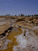 sulphur19_s.GIF (4685 bytes)