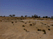 sulphur20_s.GIF (4060 bytes)