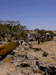 sulphur2_s.GIF (4712 bytes)