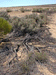 venable12_s.GIF (5154 bytes)