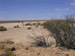 venable13_s.GIF (4497 bytes)