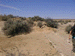 venable15_s.GIF (4411 bytes)