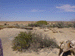 venable18_s.GIF (4477 bytes)