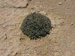 venable19_s.GIF (4685 bytes)