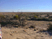 venable2_s.GIF (4660 bytes)
